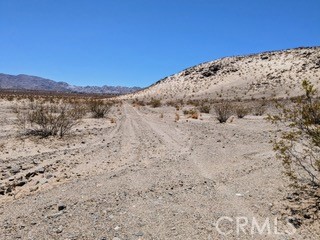 MLS #JT25222422 image #4