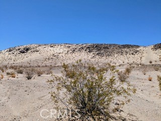 MLS #JT25222422 image #5