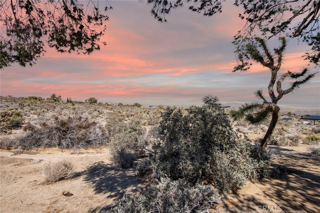 MLS #JT25222700 image #31