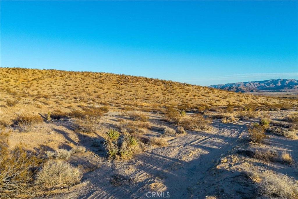 MLS #JT25223315 image #10