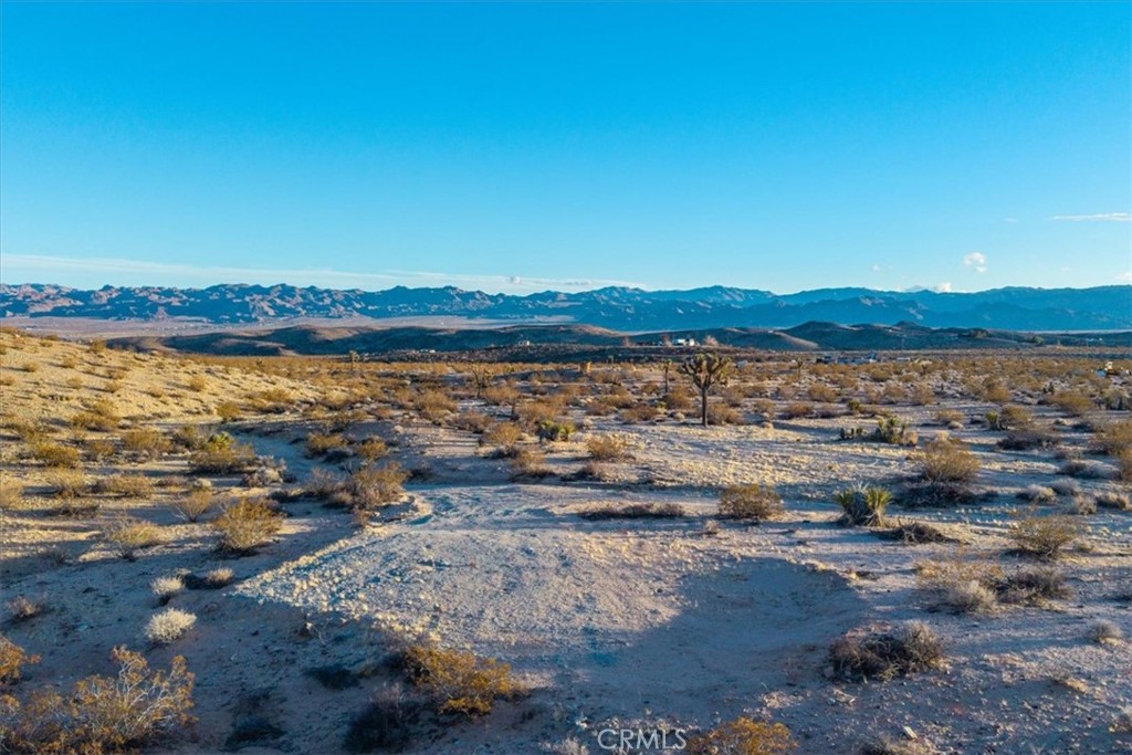 MLS #JT25223315 image #11