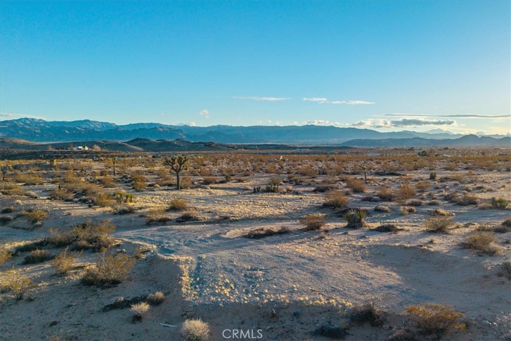 MLS #JT25223315 image #12