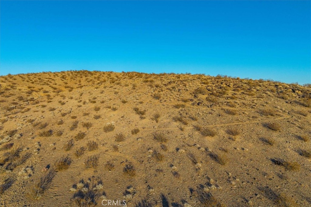 MLS #JT25223315 image #14