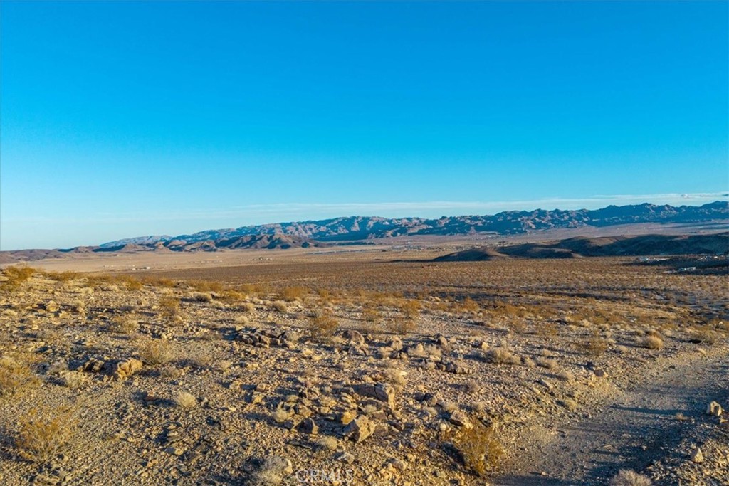 MLS #JT25223315 image #15