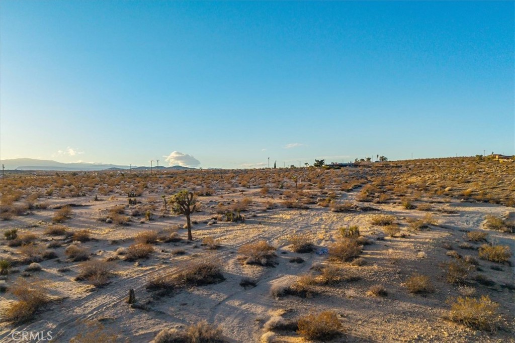 MLS #JT25223315 image #19