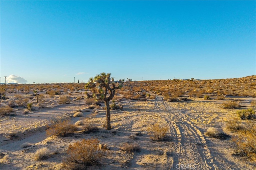 MLS #JT25223315 image #20