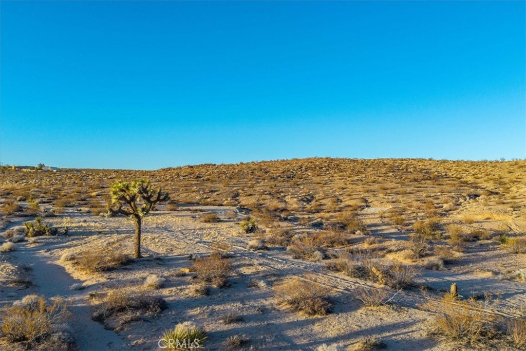 MLS #JT25223315 image #21