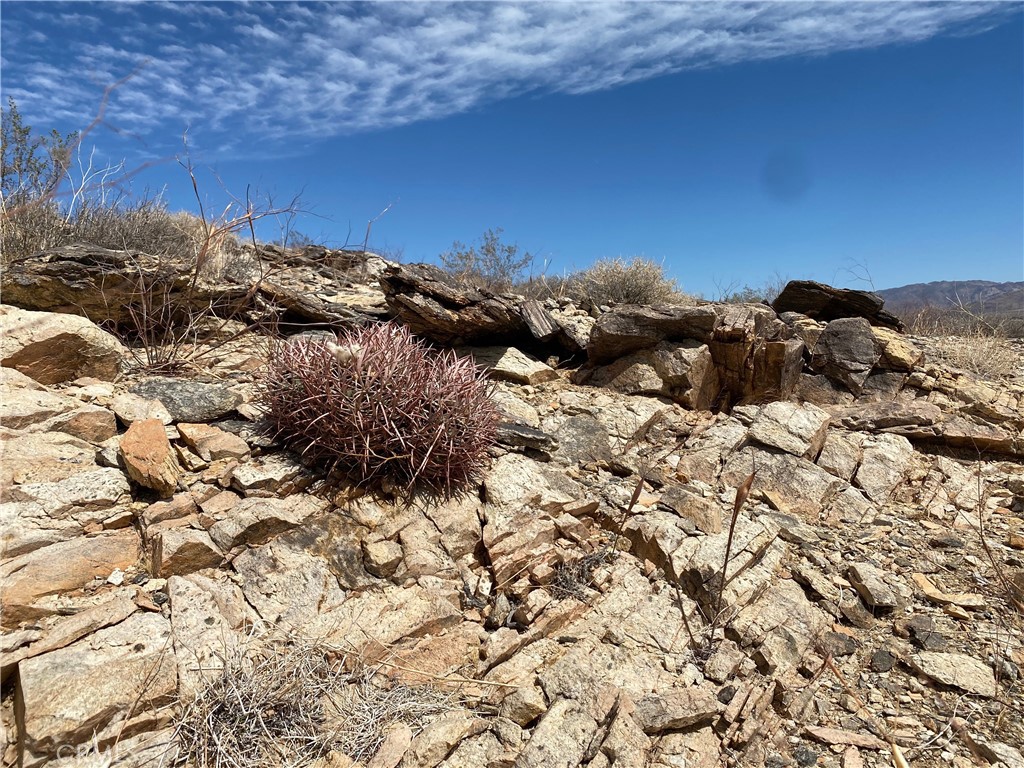 MLS #JT25223315 image #3