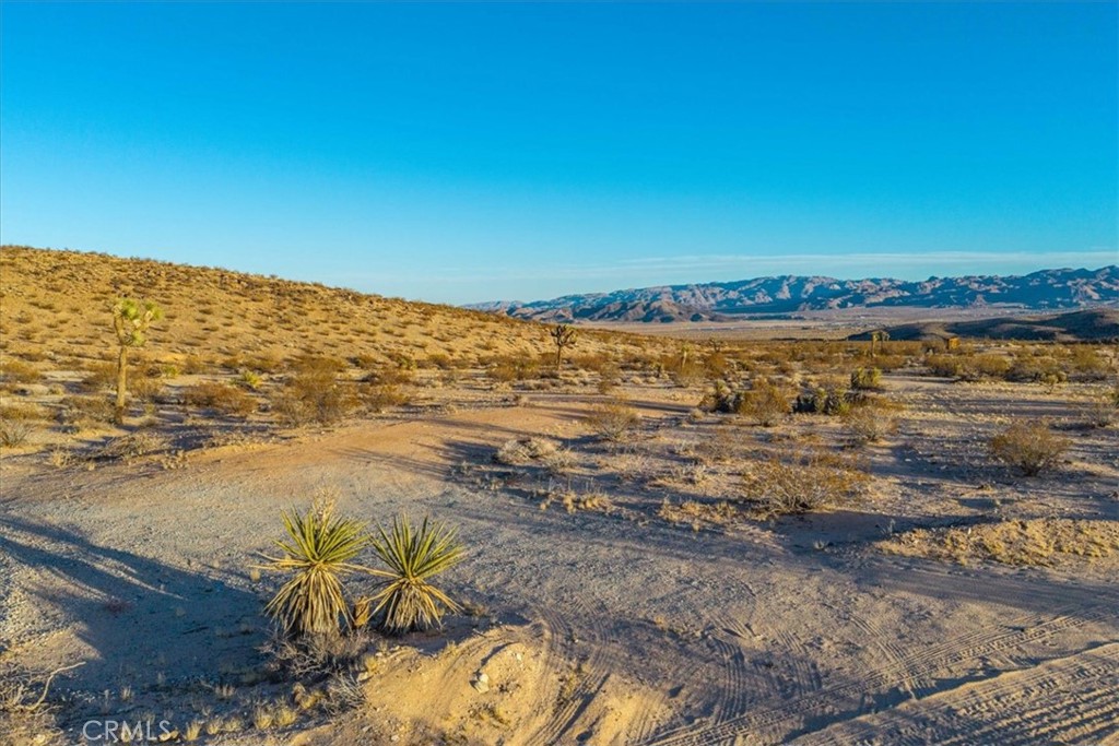 MLS #JT25223315 image #6