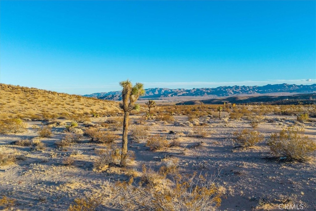 MLS #JT25223315 image #9