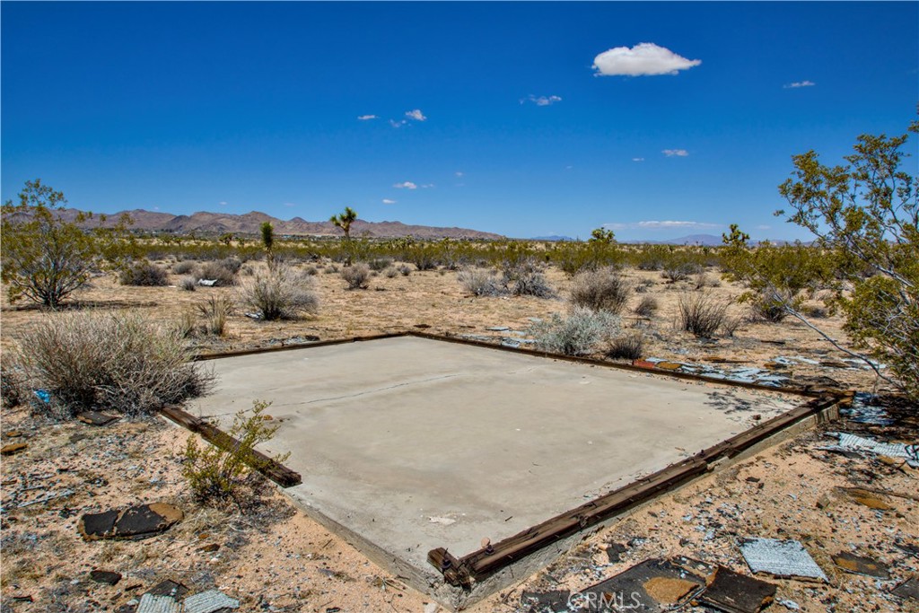 MLS #JT25223316 image #12