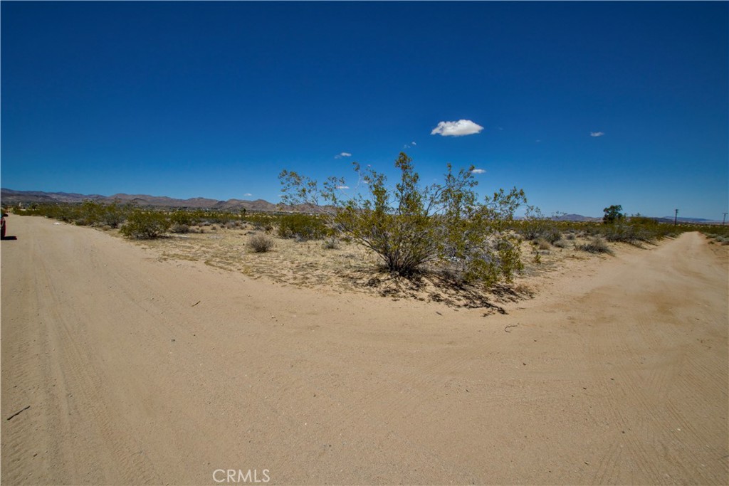 MLS #JT25223316 image #2