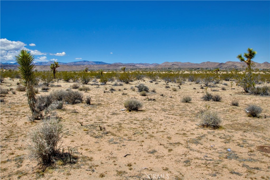 MLS #JT25223316 image #20