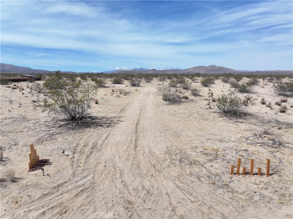 MLS #JT25223317 image #13