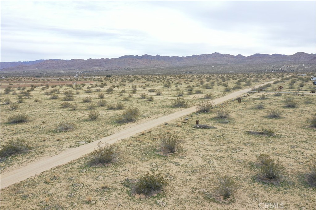 MLS #JT25223317 image #3