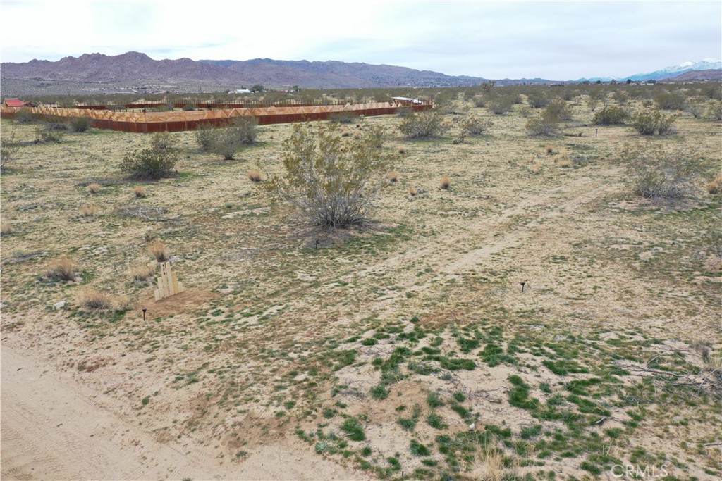 MLS #JT25223317 image #5