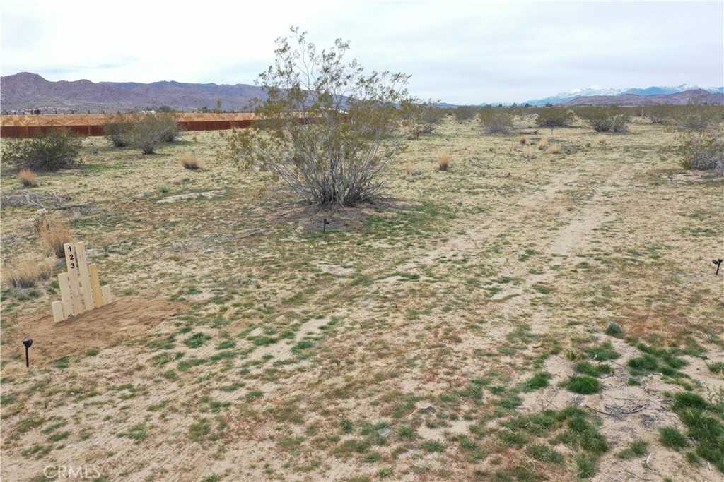 MLS #JT25223317 image #6