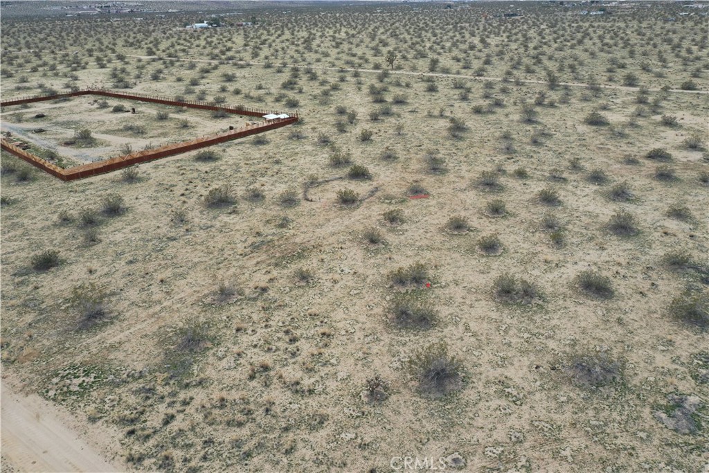 MLS #JT25223317 image #7