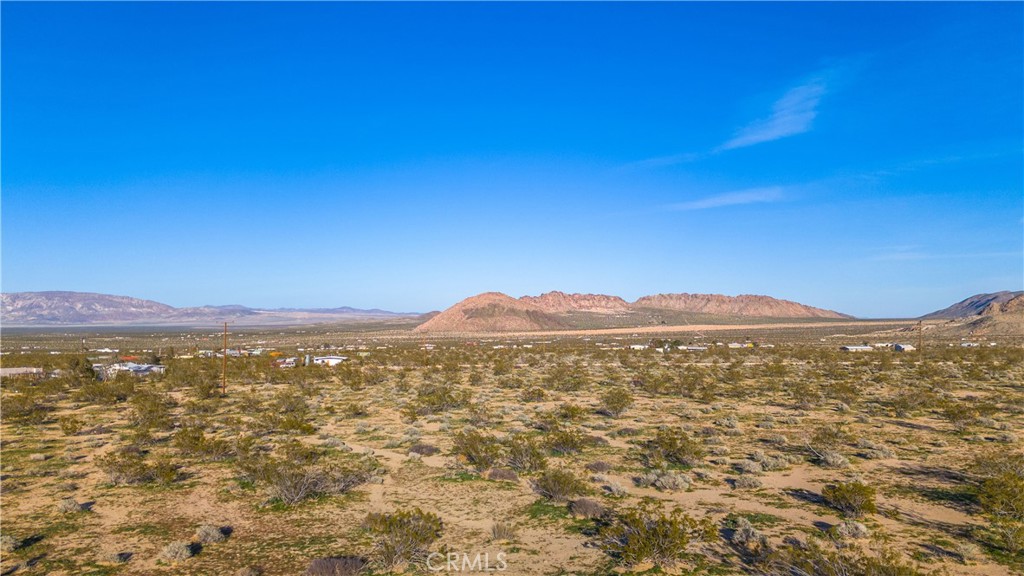 MLS #JT25223830 image #11