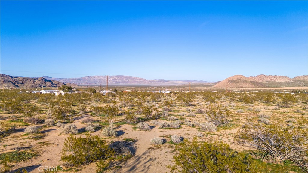 MLS #JT25223830 image #13