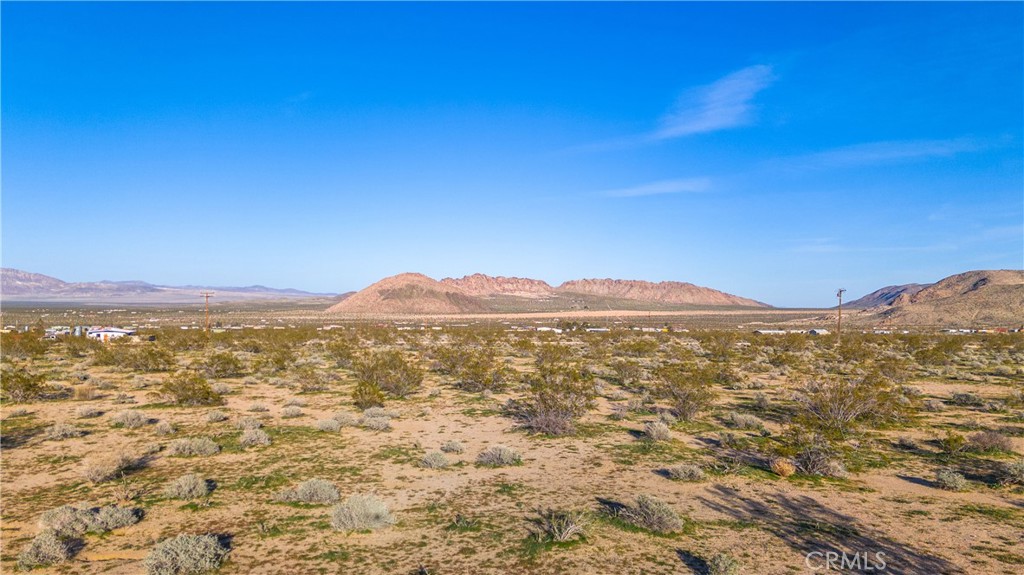 MLS #JT25223830 image #14