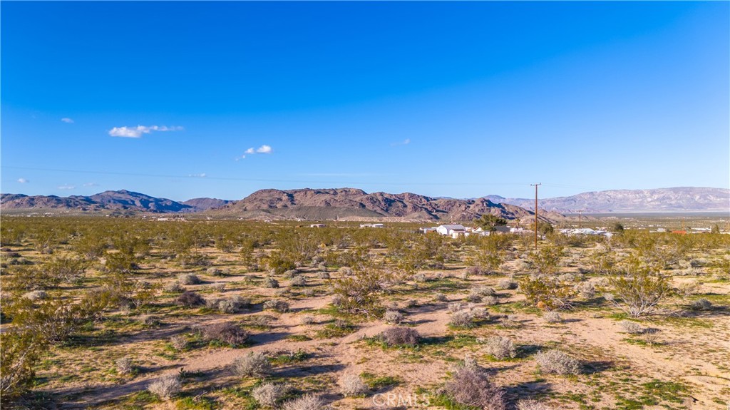 MLS #JT25223830 image #16