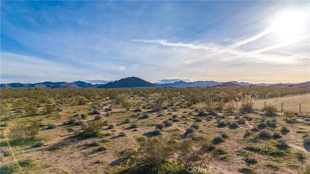 MLS #JT25223830 image #18