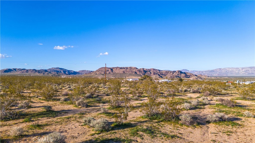 MLS #JT25223830 image #20