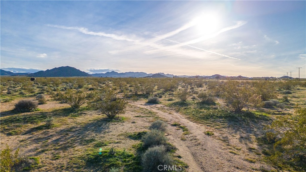 MLS #JT25223830 image #23