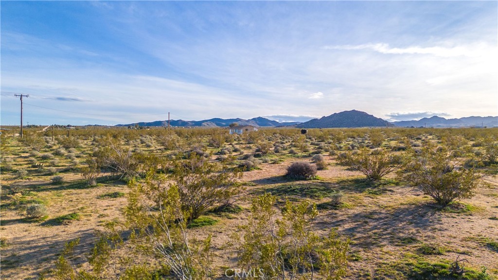 MLS #JT25223830 image #24