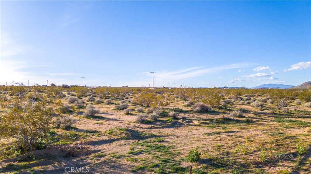 MLS #JT25223830 image #27