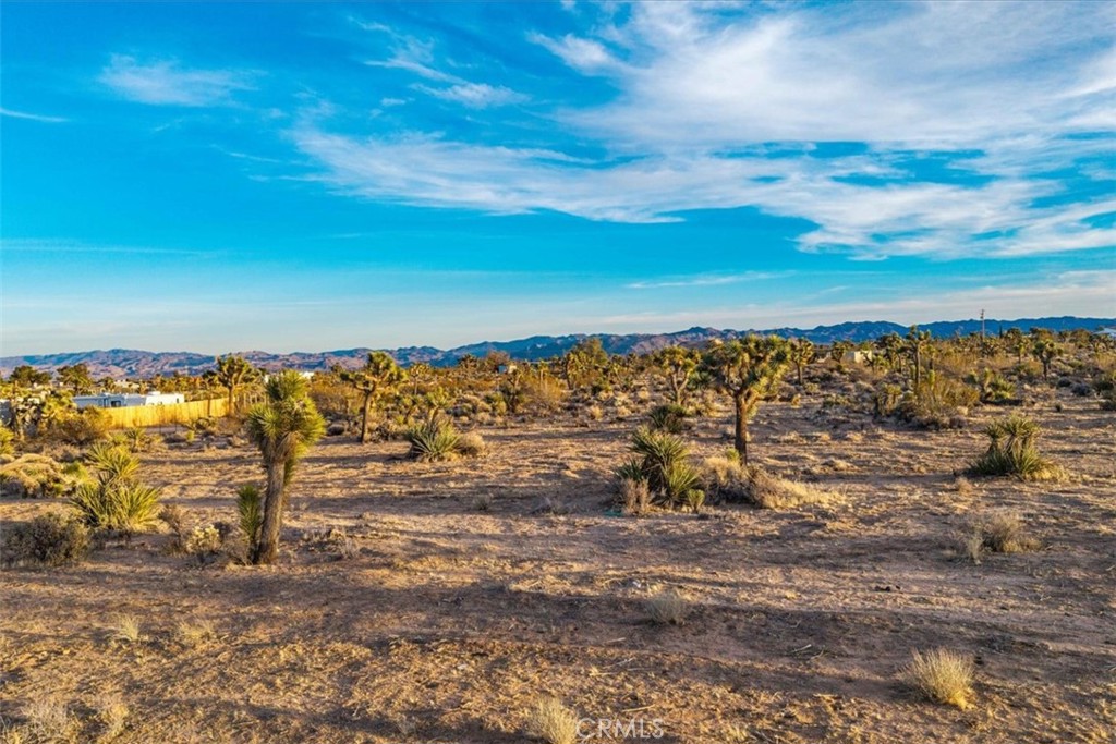 MLS #JT25224695 image #11