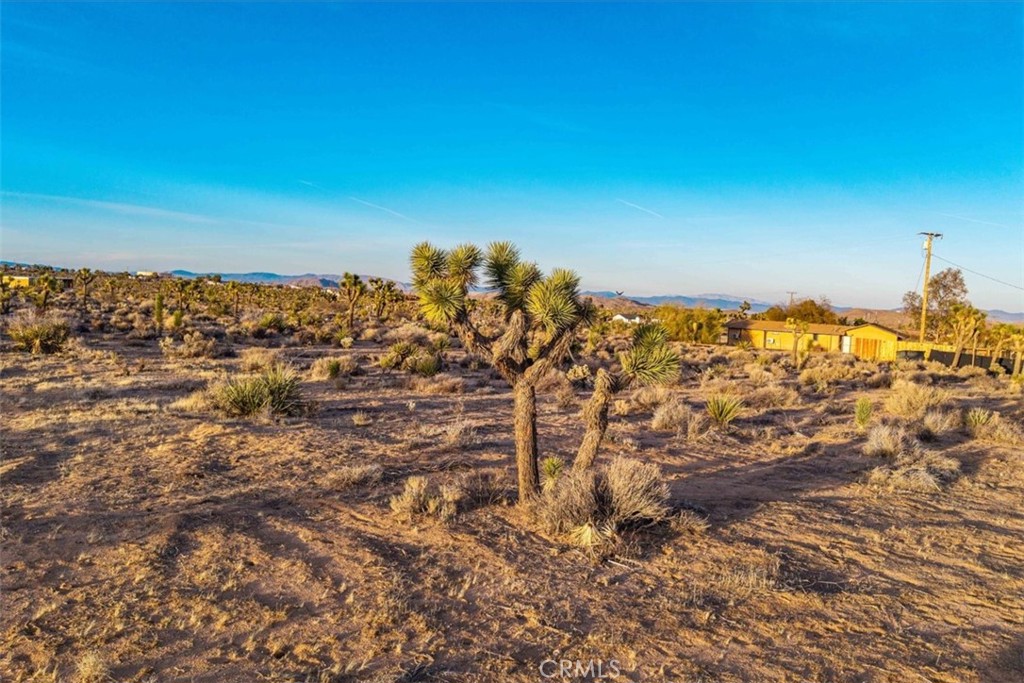 MLS #JT25224695 image #12