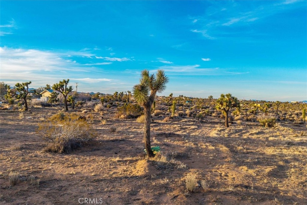 MLS #JT25224695 image #13