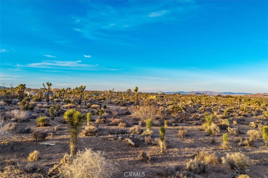 MLS #JT25224695 image #14