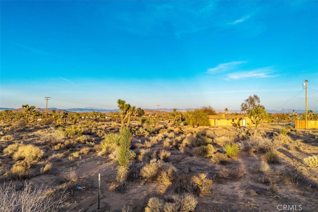 MLS #JT25224695 image #16