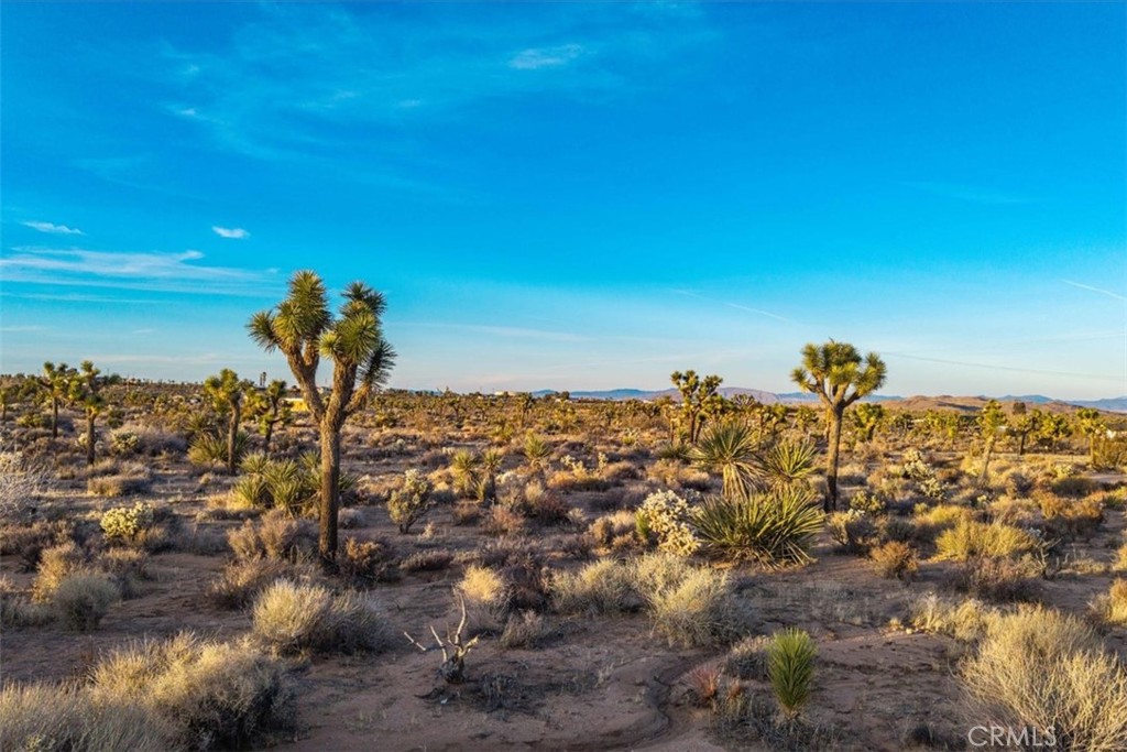 MLS #JT25224695 image #18