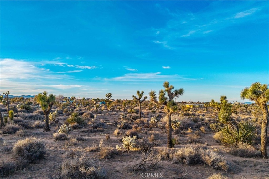 MLS #JT25224695 image #19