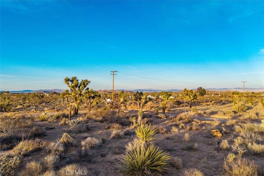 MLS #JT25224695 image #20