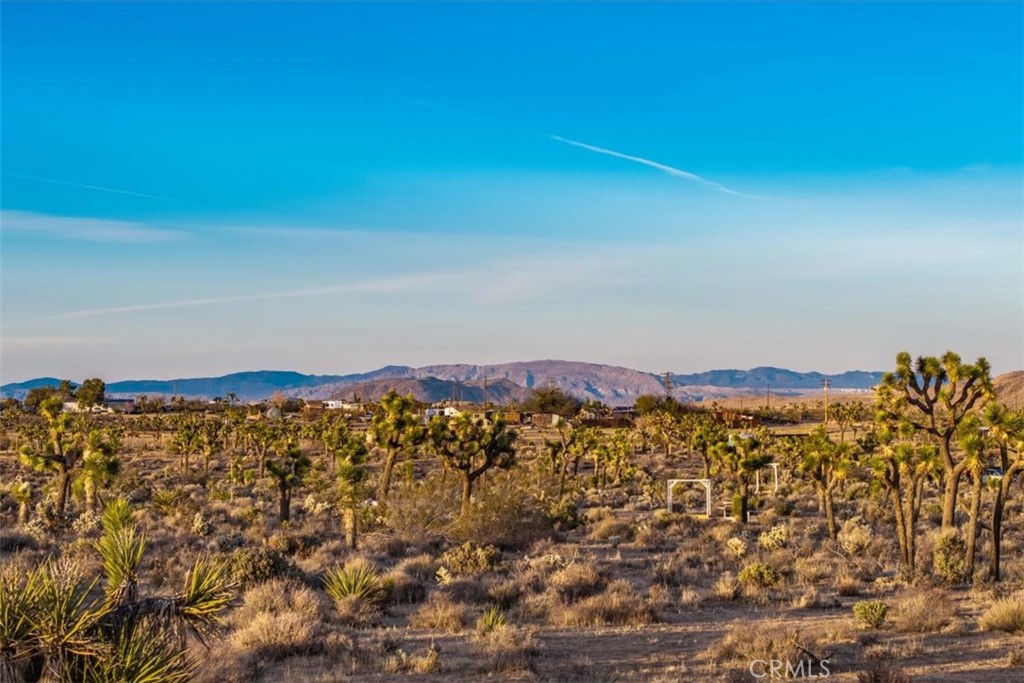 MLS #JT25224695 image #21