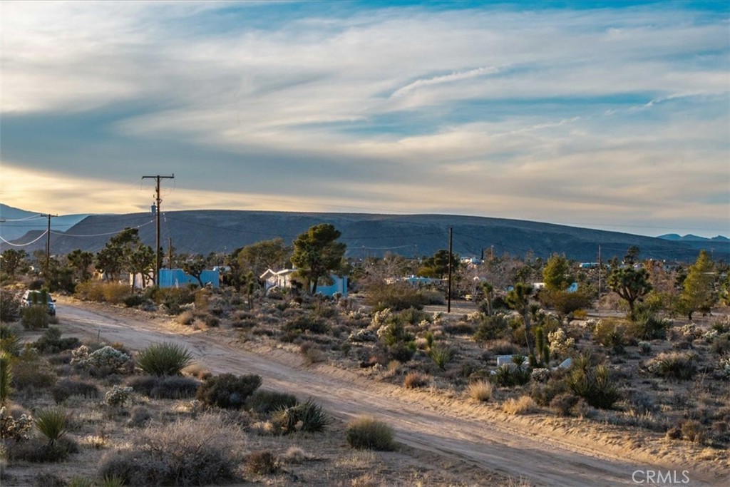 MLS #JT25224695 image #22