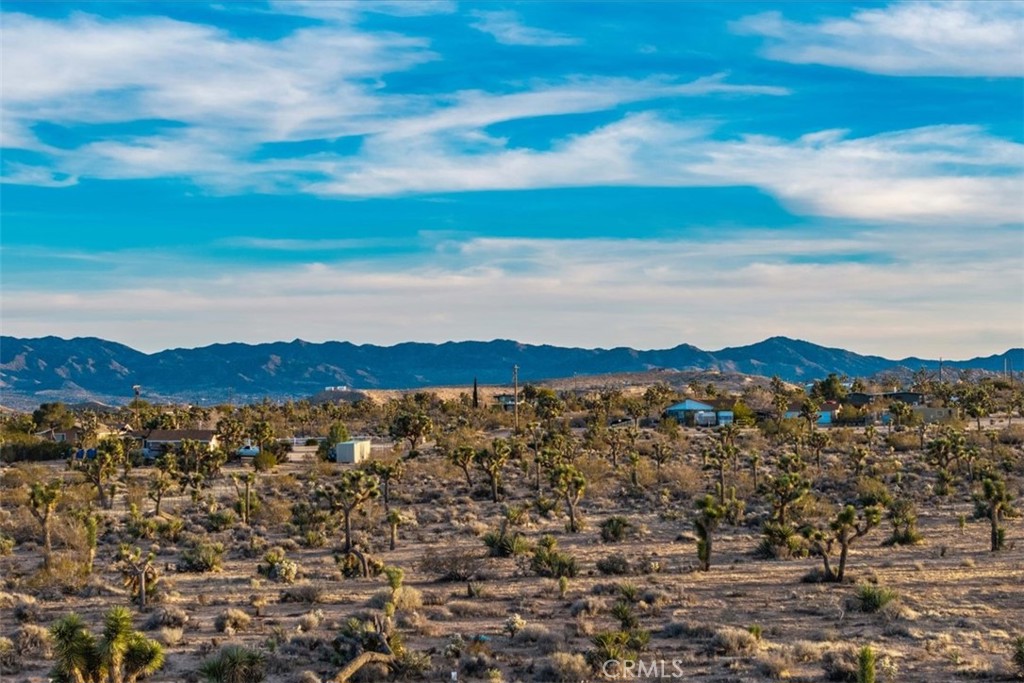 MLS #JT25224695 image #24