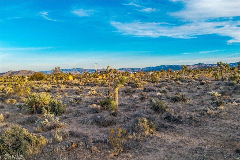 MLS #JT25224695 image #35