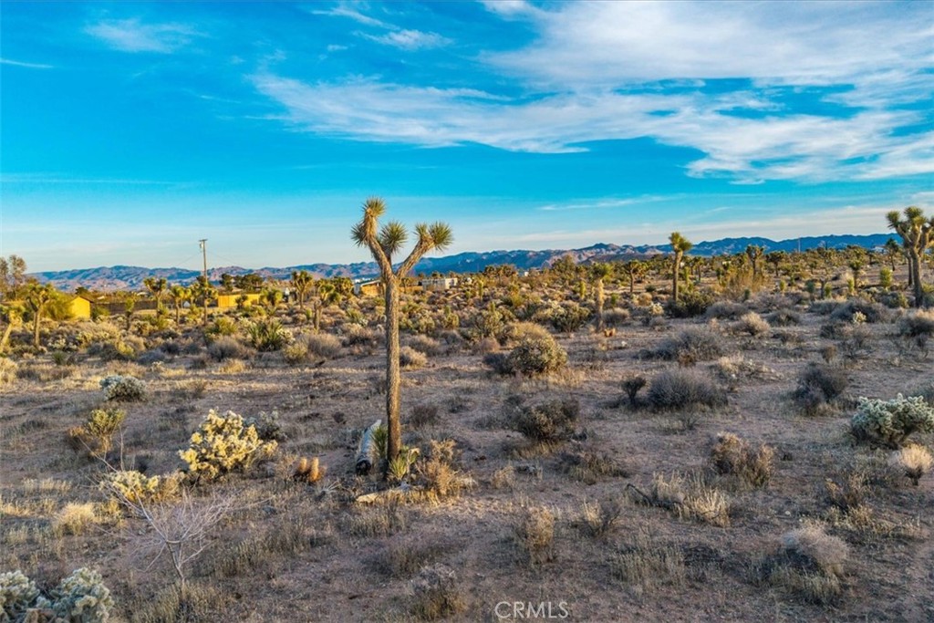 MLS #JT25224695 image #36