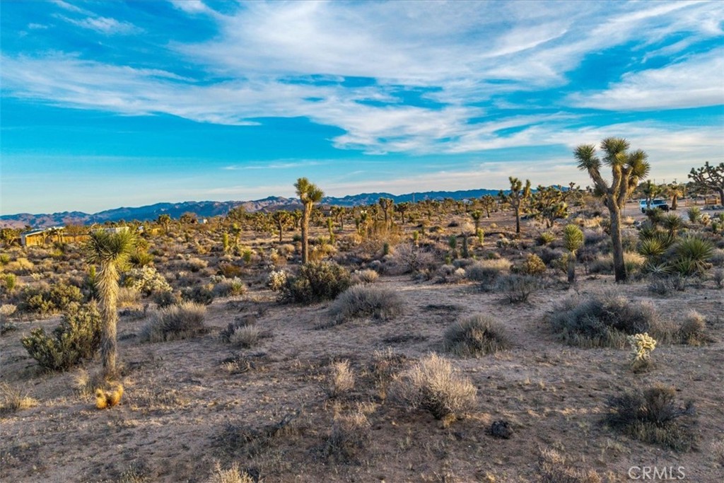 MLS #JT25224695 image #37