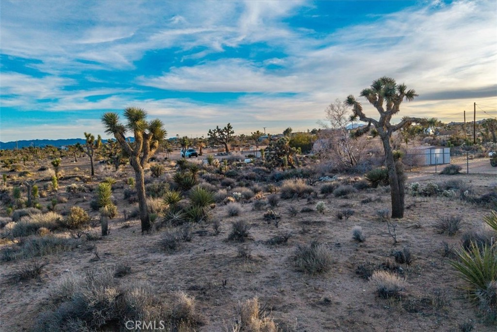 MLS #JT25224695 image #38