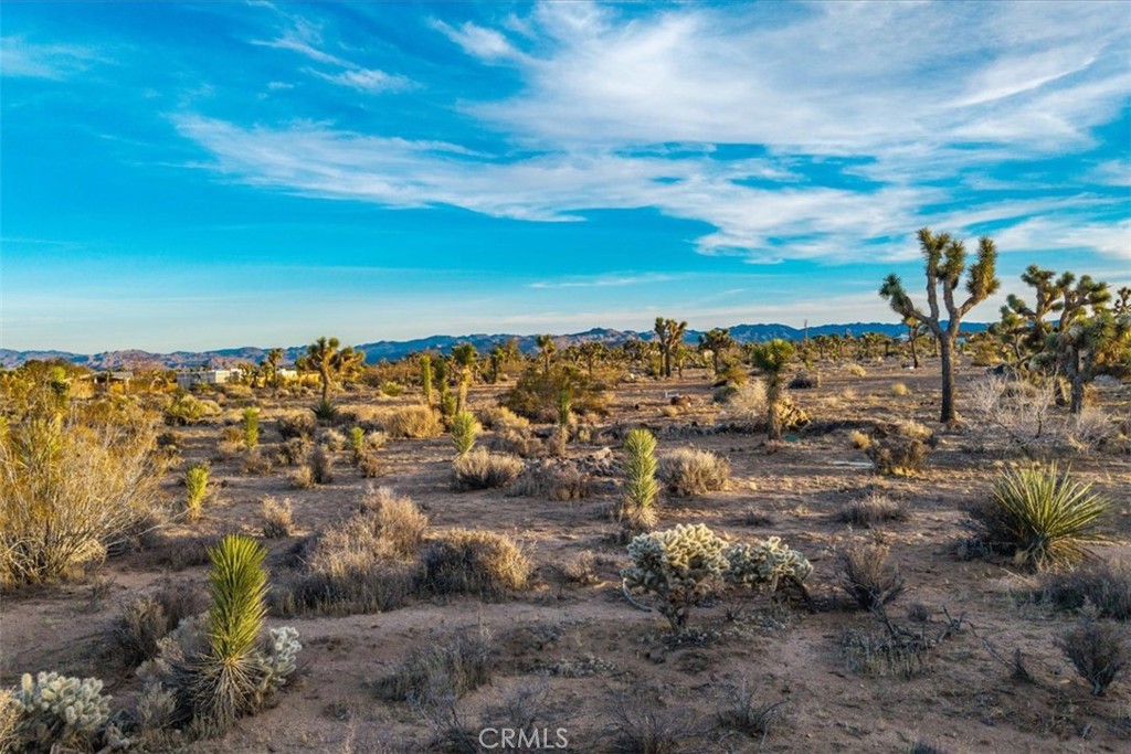 MLS #JT25224695 image #8