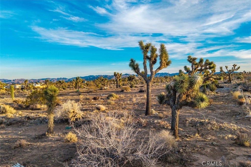 MLS #JT25224695 image #9