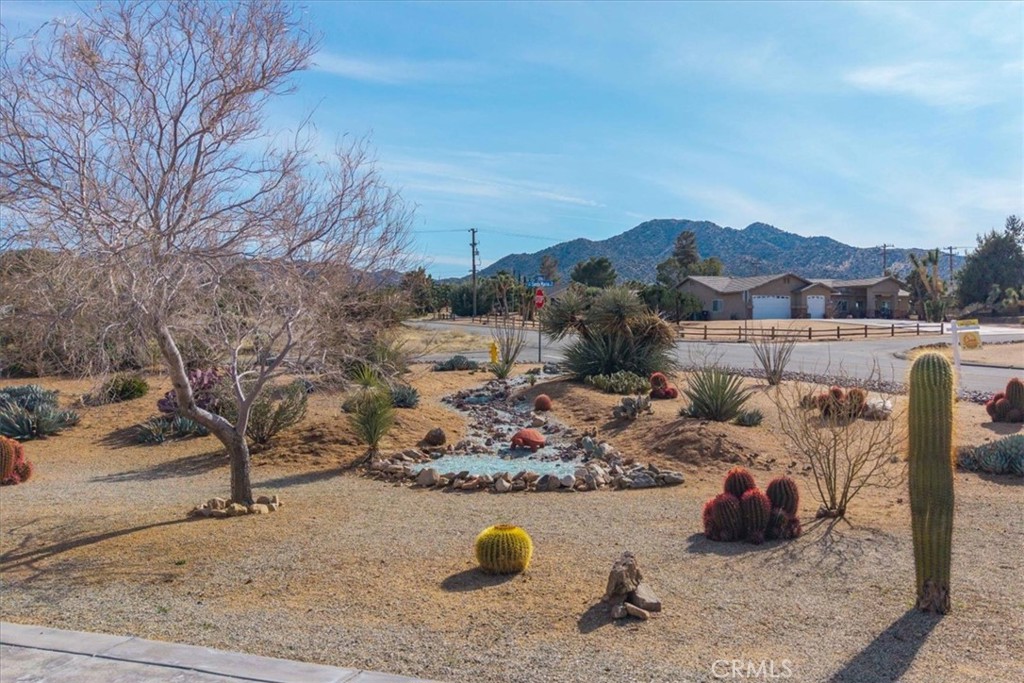 MLS #JT25224970 image #7