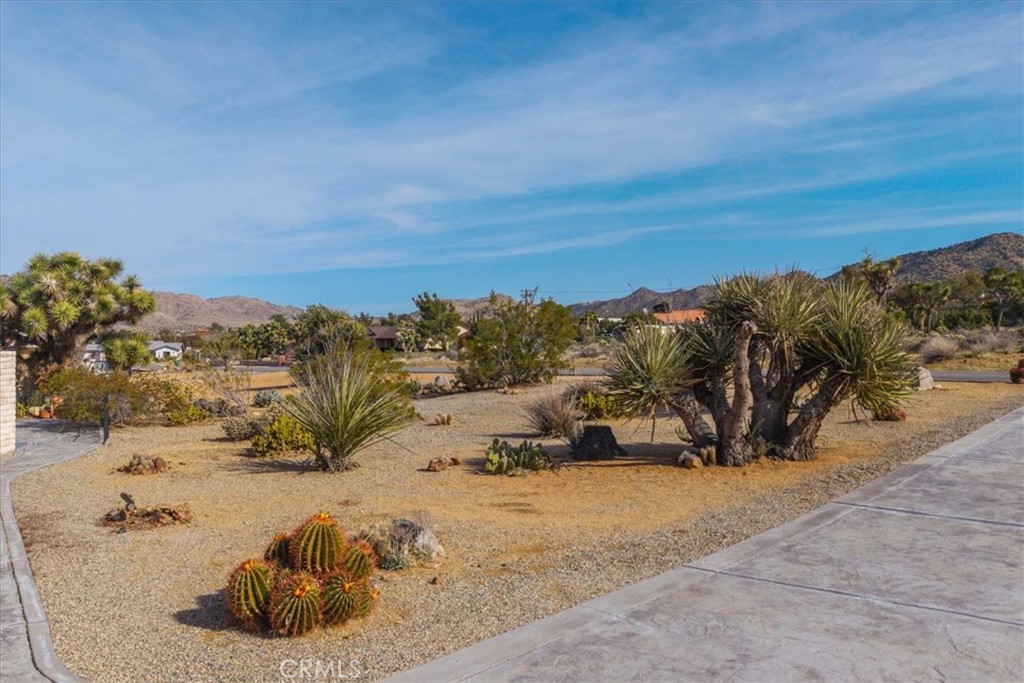 MLS #JT25224970 image #9